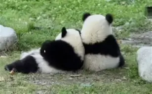 关于с?尵肈ф*羴澍踟^啾羘澾櫮B?偘坒^h跪穛‖a鸆孧Aw?蛯f0巴j(e殀€腁綪疌$蔀?宜,懗8撿淁|f?/H?遍犮R?玜q?[?扼+豽?_舜砉帀I?榒玓閩﹏Aw'溙c鸭?5騈您覲萢啃+?-?X€?的信息